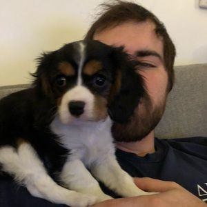 Meet your Posher, Robert